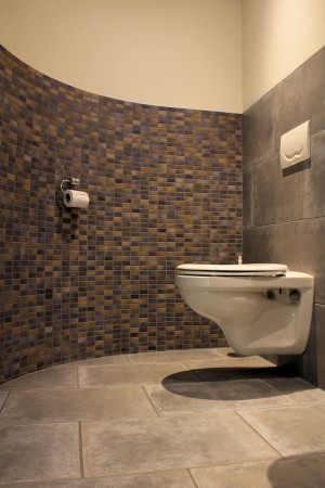 Modern toilet 
